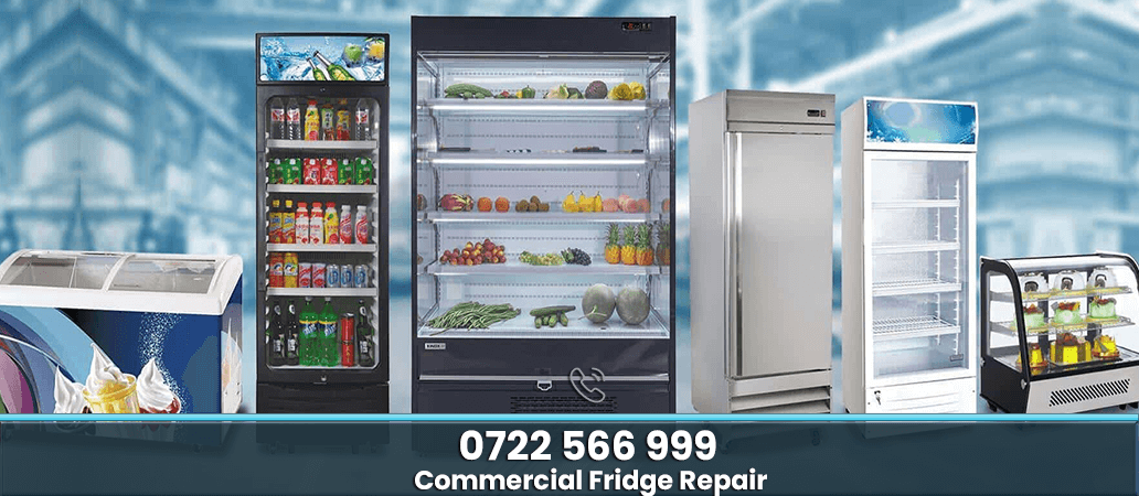 Commercial Freezer Repair in Nairobi
