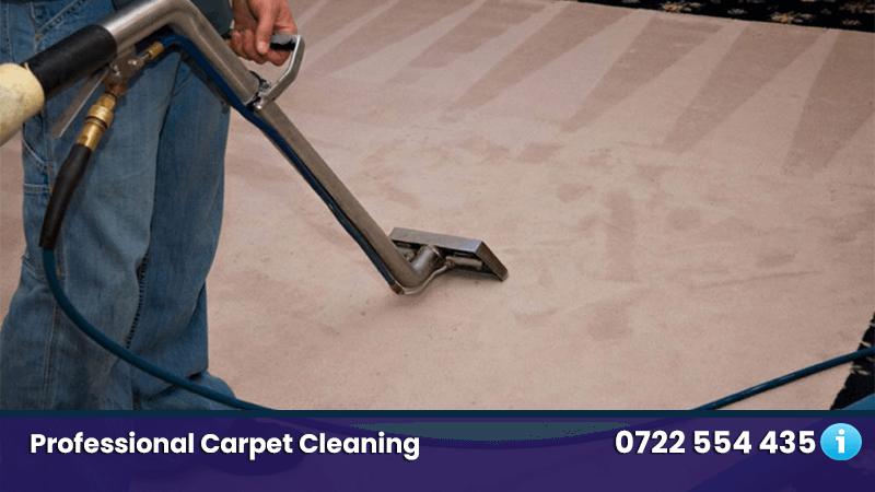cleaning professional carpet cleaning nairobi kenya