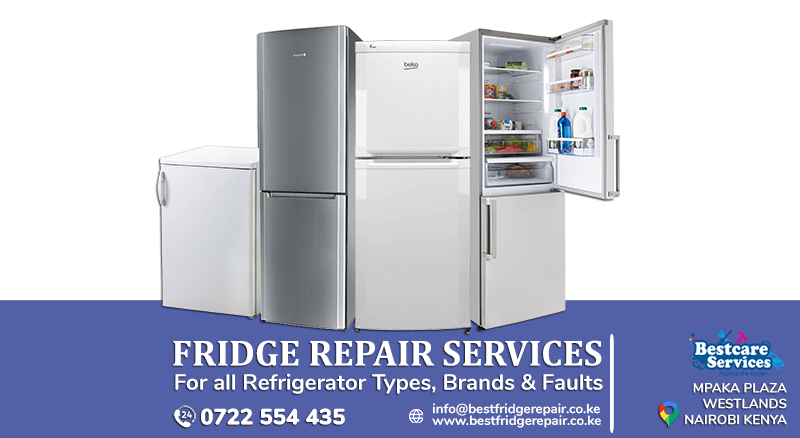 Fridge Repair Service in Kambe