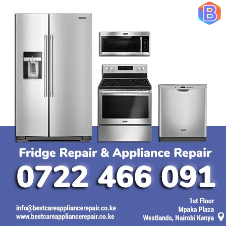 Changhong Fridge Repair Service in Nairobi