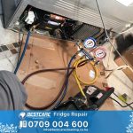 Top 10 Most Requested Fridge Repair Services