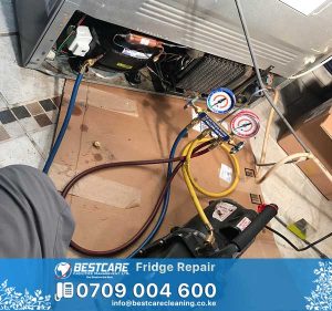 Top 10 Most Requested Fridge Repair Services